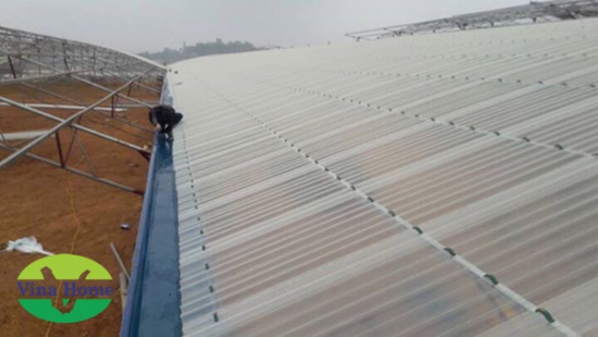 Công Trình Tấm Lợp Lấy Sáng Composite
